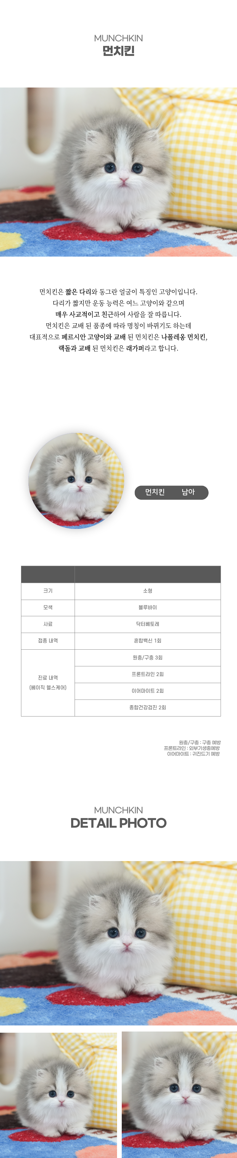 먼치킨_상세이미지_2